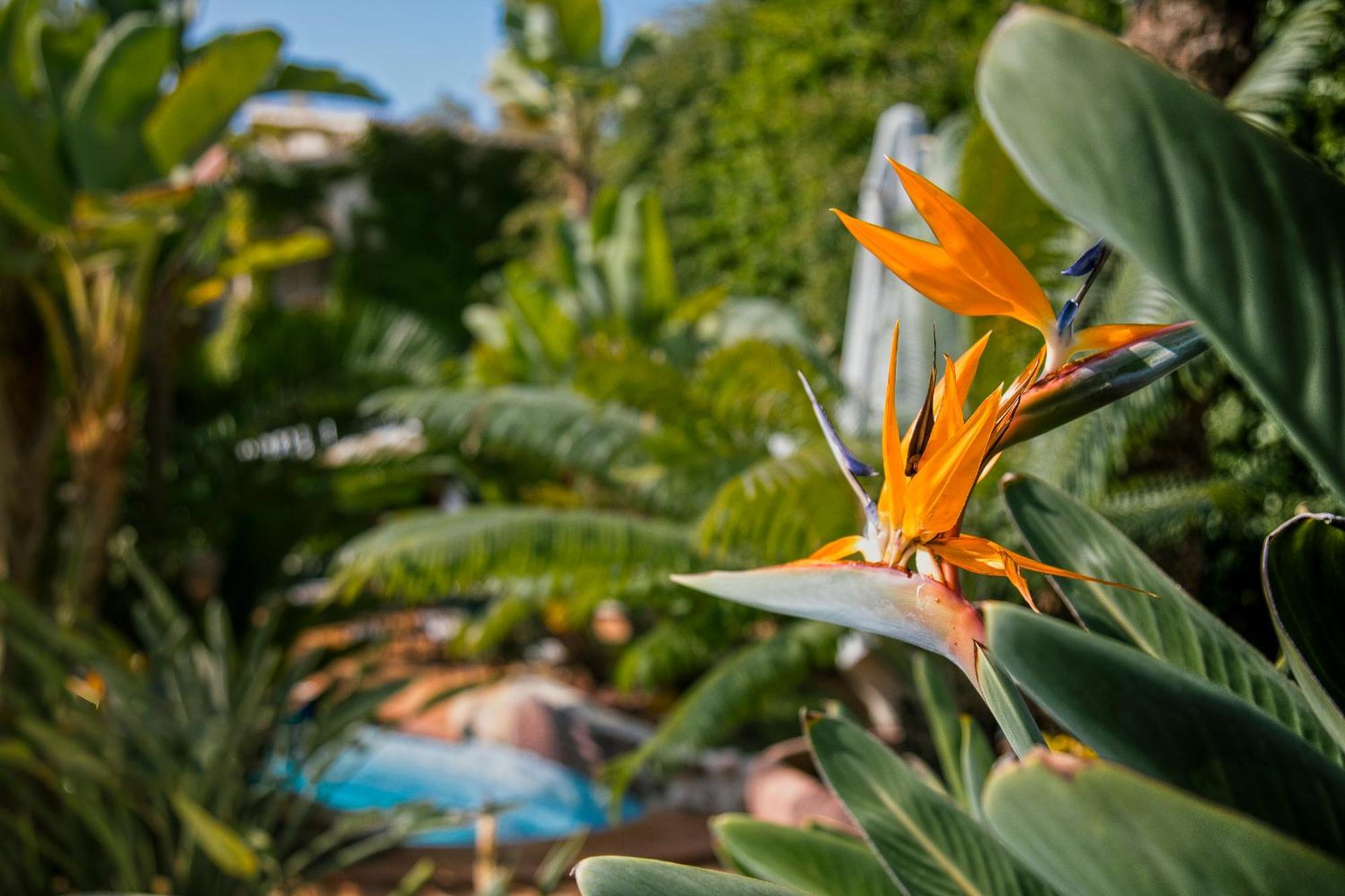 Swiss Moraira Hotel & Spa - Designed For Adults Eksteriør bilde